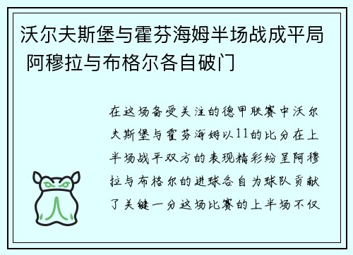 沃尔夫斯堡与霍芬海姆半场战成平局 阿穆拉与布格尔各自破门